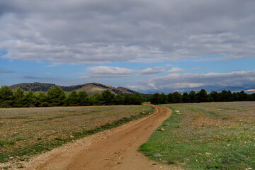 Fototapeta na wymiar Route dans la campagne. Andalousie. Espagne.