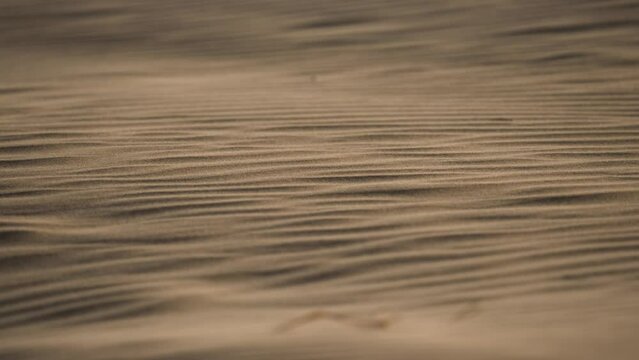Scenic slow motion view of sand grain blowing forming ripple pattern on surface