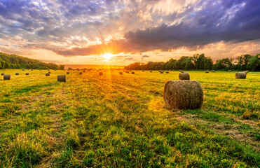 Scenic view at beautiful spring sunset in a green shiny field with green grass and golden sun rays, amazing sky on a background , summer valley landscape