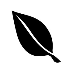 Leaf Icon Vector Symbol Design Illustration