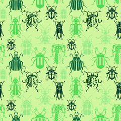 Seamless green Outline Of An Insect Beetle. A pattern with beetles in green colors on a green background. 