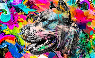 Poster abstract colored dog muzzle isolated on colorful background © reznik_val