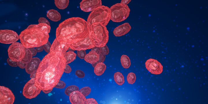 Monkey pox viruses, illustration