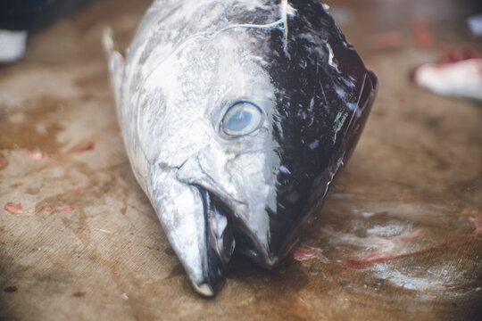 マグロ解体 の画像 346 件の Stock 写真 ベクターおよびビデオ Adobe Stock