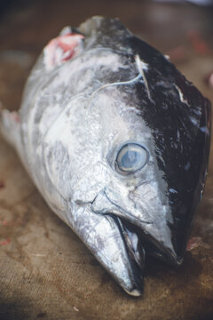 マグロ解体 の画像 346 件の Stock 写真 ベクターおよびビデオ Adobe Stock