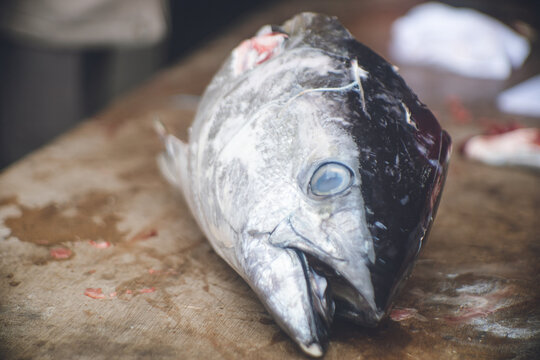 マグロ解体 の画像 346 件の Stock 写真 ベクターおよびビデオ Adobe Stock