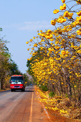 Fototapeta na wymiar Thai local bus driving on the flower road.