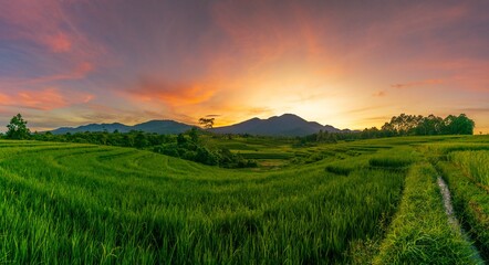 panorama of the natural beauty of asia. rice field view with mountains and peaceful village