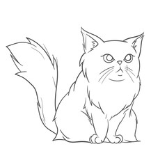 Line art cat illustration for children book