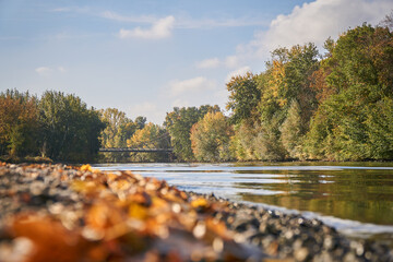 Saaleufer im Herbst	
