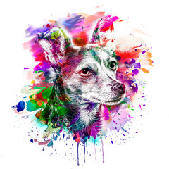abstract colored dog muzzle isolated on colorful background art