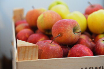 Almaty, Kazakhstan - 03.10.2016 : Fresh harvested apples in wooden boxes