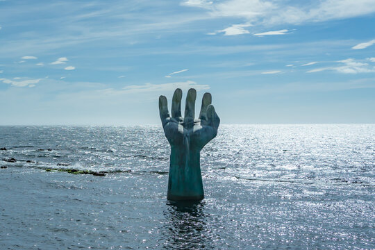 OLIB-PHOTO-7