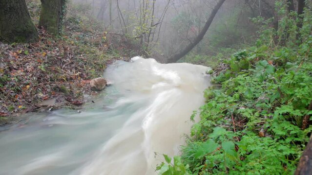 Timelapse: a waterfall at San Fele, Italy, inside a forest, going down with a strong water current. Rainy day.
