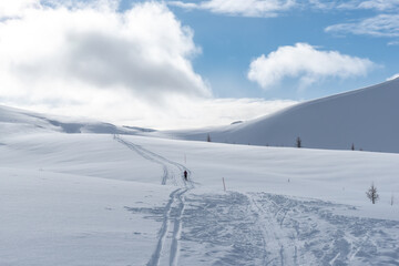 Winter skiing trail in wilderness in Banff National Park, Alberta, Canada 