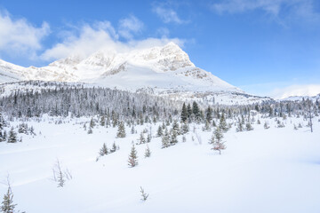 Pure winter mountain scenery in wilderness in Banff National Park, Alberta, Canada
