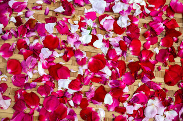Organic Dried rose petals as background. Purple rose flowers, close-up.Macro close up background texture. Top view.