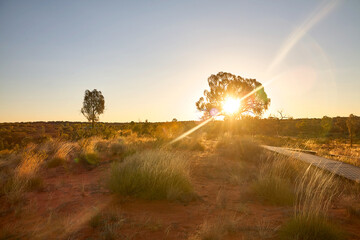 Landschaftsaufnahme eines Sonnenuntergangs im australischen Outback