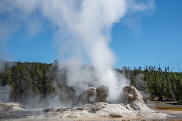 Grotto Geyser erupting in Old Faithful area, Yellowstone National Park 