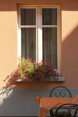 Fototapeta na wymiar window and flowers