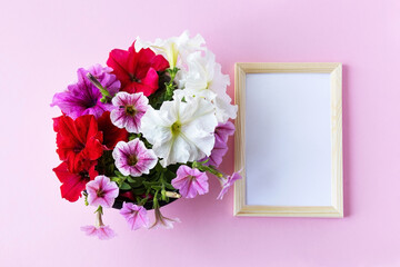 Red, purple, pink and white petunia flowers on a pink background with a white text frame