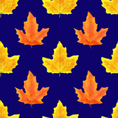 Seamless pattern with autumn maple leaves on a blue background, hand drawn in watercolor. Design for fabric, paper, wrapping, packaging.