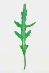 Top view of arugula leaf on white background. Close up
