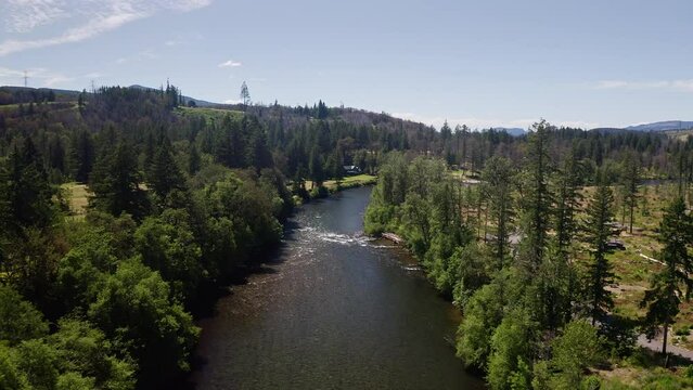 Drone over scenic forest