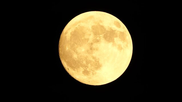 Glowing yellow huge full moon as seen from earth through the clouds against starry night sky. Large full moon moves across the sky, moon makes its way from bottom left frame to top right.