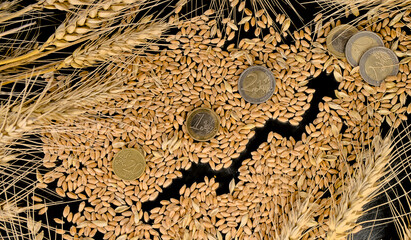 Euro coins on wheat grains and economic growth graph on a black background. Harvest wheat concept.