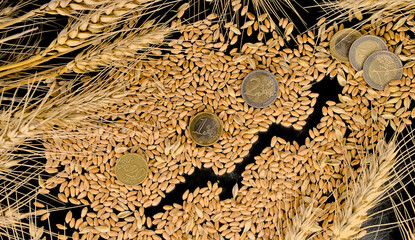 Euro coins on wheat grains and economic growth graph on a black background. Harvest wheat concept.