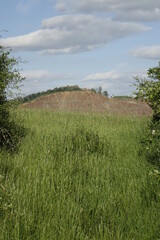 Northern Palatinate landscape with green bushes and surface mining, blue spring sky (vertical), Pfeffelbach, Kusel, RLP, Germany