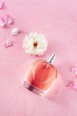 Rose scent essence, shot from above on a pink background with a fresh flower and copy space