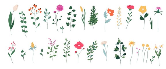 Collection of  blooming flowers and leaves. Spring floral flat vector illustration isolated on white background