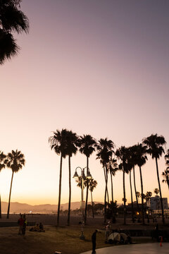 LA Travel