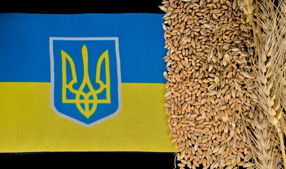 Flag of Ukraine next to grains and ears of wheat. Politics and war Theme of the problem of export of wheat from Ukraine.