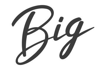 Word Big. Hand drawn lettering. Artistic isolated text. Vector illustration