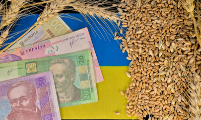 Ukrainian hryvnia banknotes on the flag of Ukraine and grains with ears of wheat on a black...