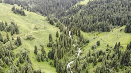 Aerial view mountains, forest and rocks, permafrost in the gorge Turgen Kazakhstan