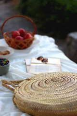 Picninc blanket with straw bag, bowl of strawberries and blueberries, bowl of chocolate chip cookies, books, sunglasses and basket of apples in the garden. Selective focus.