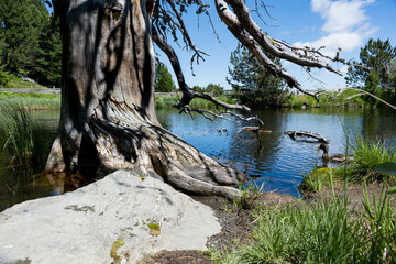 Nockberge Windebensee