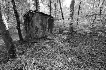 Ambiance mystérieuse dans la forêt près de la maisonnette en ruine