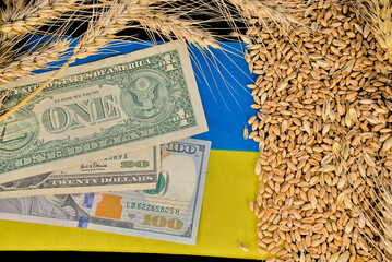 Banknotes of American dollars on the flag of Ukraine and Grains with ears of wheat on a black...