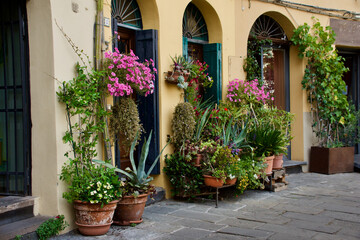 Fototapeta na wymiar Dekoration mit Blumen am Piazza dell'Anfiteatro in Lucca