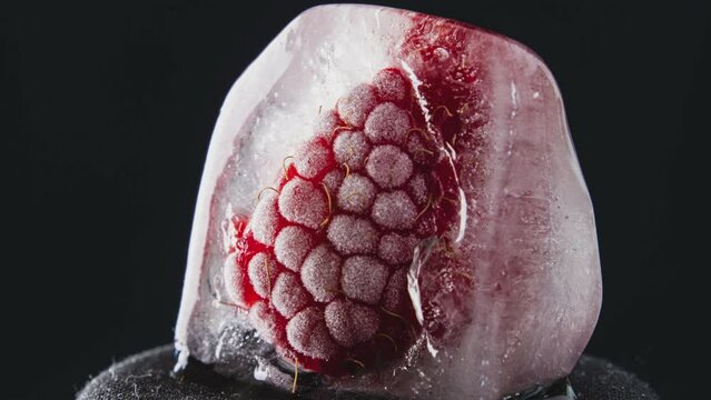 Timelapse raspberry freezes in a piece of ice. Fruits freeze from cold temperature, frost. The water freezes and turns into an ice cube.
