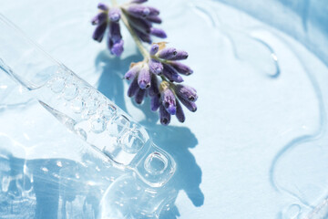 Dropper with transparent lavender cosmetic liquid over blue background with copy space. Texture of lavender cosmetic essential oil or hydrolate, herbal cosmetics for beaty treatments. Selective focus