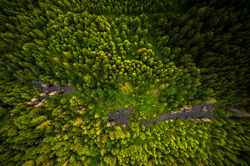 Drone view on wild river in forest