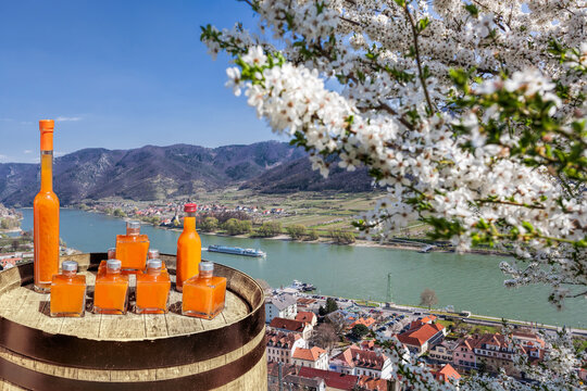 Apricots drinks on barrel against Spitz village with boat on Danube river, Austria