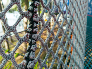 Close-up of net  stretched out between trees. Adventure park. Climbing.