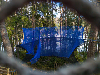 Net  stretched out between trees. Adventure park. Climbing course.
